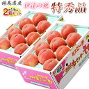 桃 もも 福島県産 伊達の桃 特秀品 約1.5kg×2箱 1箱あたり5〜10玉 送料無料 産地直送