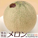 メロン 熊本県産(青肉又は赤肉)【大玉2Lサイズ 2玉セット 約1.8kg(900g前後×2玉)】常温 送料無料