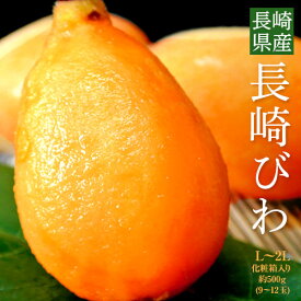 長崎びわ L〜2Lサイズ 約500g (9〜12玉) 化粧箱 長崎県産 ※冷蔵 送料無料