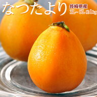 大粒 びわ なつたより長崎県産 秀品 3～5L 約1kg（12～16玉）産地箱 ※冷蔵 長崎 ビワ 枇杷
