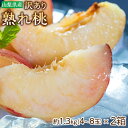 桃 もも 訳あり 山梨県産 春日居共選所の 熟れ桃 約1.3kg×2箱 送料無料 産地直送