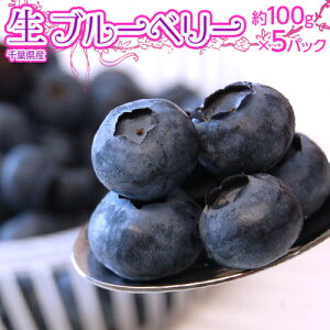 千葉県産 生ブルーベリー 約100g×5個 ※冷蔵 送料無料