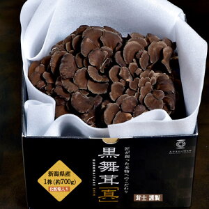 ܂ VY w^x1(700g) }C^P  ̂ Y  蕨  p  Mtg ʔ v[g  Ԃ ϔ ①