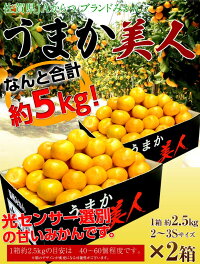 送料無料佐賀県産JAからつうまか美人約2.5kg×2箱2〜3Sサイズ