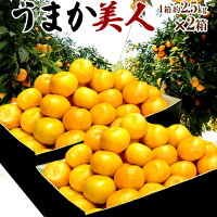 送料無料佐賀県産JAからつうまか美人約2.5kg×2箱2〜3Sサイズ