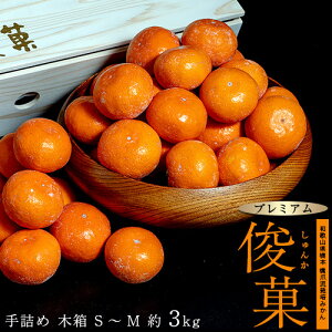 橋爪流栽培みかん 俊菓 (しゅんか) プレミアム和三盆 和歌山県産 S〜Mサイズ 約3kg 木箱入※常温 送料無料