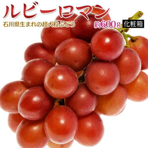 石川県産 大粒ぶどう「ルビーロマン」約600g 化粧箱入 冷蔵 送料無料