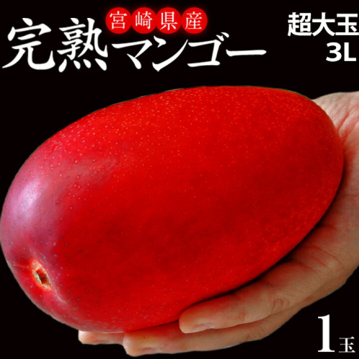 楽天市場】超大玉3L みやざき完熟マンゴー 宮崎県産 1玉 約450g 簡易箱 