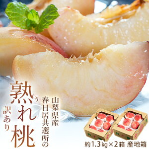 �t������ �n�꓍ �R�����Y ��1.3kg×2�� �v��2.6kg �Y�n�� ���퉷 �������� �R������ �t�������I���̖󂠂�i �� ���� �󂠂�