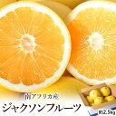 ジャクソンフルーツ　南アフリカ産 約2.5kg (目安：10～15玉）簡易箱 グレープフルーツ ※冷蔵　送料無料 グレープフ…