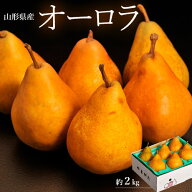 西洋梨 オーロラ 山形県産 秀品 約2kg （6～10玉） 産地箱 ※常温 送料無料