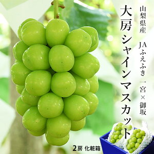 JAӂӂ [ VC}XJbg Gi 2[ iv1.2kgj RY ϔ① 