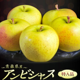 りんご アンビシャス 青森県産 約2.5kg （目安：9〜15玉) 特A品 ※冷蔵 送料無料　JA津軽みらい　リンゴ　林檎