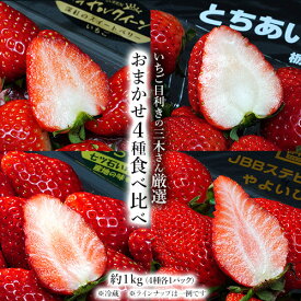 旬のいちご4種食べ比べ 国産 計4パック（1パック 約250g） ※冷蔵 送料無料