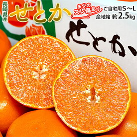 「せとか」長崎県産柑橘 S～M 約2.5kg 多少のスレ傷あり 産地箱 JA長崎せいひ 送料無料