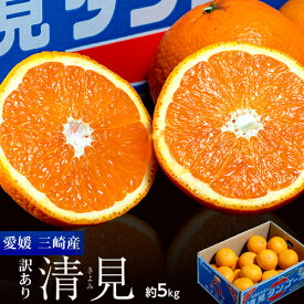 訳あり品 三崎の越冬樹熟 清見 愛媛県産 M〜4L 約5kg 産地箱 キズ・スレ等あり ※常温 清見オレンジ 送料無料