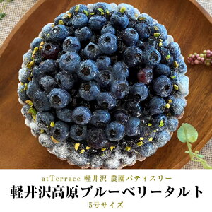 atTerrace ywy򍂌u[x[^gx 1 5TCY Ⓚ @u[x[^g@u[x[@t[c^g