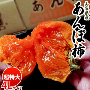  ۊ`@RY ` 4LTCY 6ʁi1ʖ125gj ȈՔ 퉷 JAAvXs@