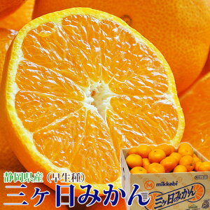 O݂ ij ÉY 2`3LTCY 7kg Yn 퉷 JA݂с@ JA݂