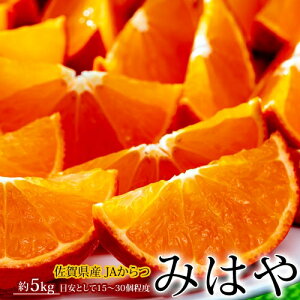 JA ݂͂ ꌧY k G`Di M`2LTCY 5kg 퉷 