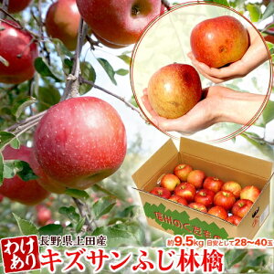 �󂠂� �T���ӂ� ���쌧�Y�@JA�M�B������ ��9.5kg �i�ڈ��Ƃ���26�`32�ʒ��x�j �퉷�@����������