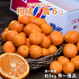 農6 (のうろく) 」 香川県産 約5kg 秀～優品　大～小サイズ ※常温 送料無料　機能性　柑橘