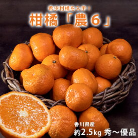農6 (のうろく) みかん　香川県産 約2.5kg 秀～優品　大～小サイズ ※常温 送料無料　機能性　柑橘
