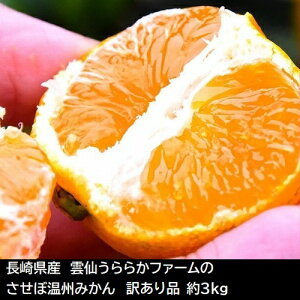 y󂠂izOĉډB݂ 3kg 2S`LTCY@Yn 茧Y _傤炩t@[ 퉷 