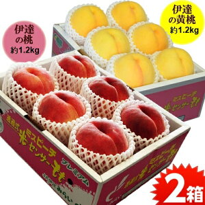 ɒB̓ ~Xs[` Zbg Y GiUP 2 (e1.2kg 4`7ʖڈjYn ① @@