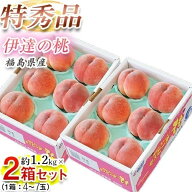 【早期割引】伊達の桃 福島県産 特秀品 約1.2kg×2箱 （1箱：4〜7玉） 産地箱 ※常温 JAふくしま未来 送…