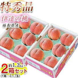 伊達の桃 福島県産 特秀品 約1.2kg×2箱 （1箱：4〜7玉） 産地箱 ※常温 JAふくしま未来 送料無料