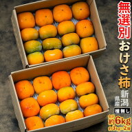 早期割引 おけさ柿 （種無し） 新潟県産 スレ・キズあり 無選別 ご自宅用 計6kg（約3kg×2箱）簡易箱 柿 …