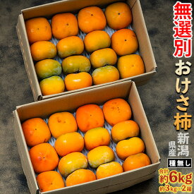 早期割引 おけさ柿 （種無し） 新潟県産 スレ・キズあり 無選別 ご自宅用 計6kg（約3kg×2箱）簡易箱 柿 ※常温 送料無料