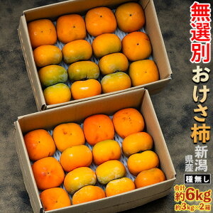 w`i햳jxVY XELY I p v6kgi3kg×2jȈՔ `@퉷 