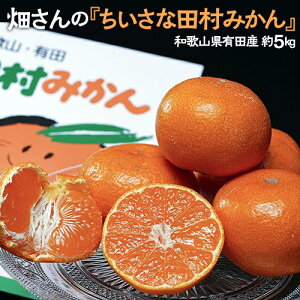  ȓc݂ a̎RLcY@5kgi2S-3Sjl߁@Yn@퉷@