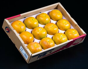 H` Y Gi 4kgi10`16ʁjYn ܍ 퉷 