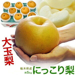 ʁ@ɂ藜@Ȗ،Y D`G 5kgi6`10ʁjȈՔ ①@