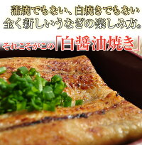 鹿児島産「白醤油焼きウナギ」1食(約80g)※冷凍