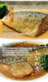 ノルウェー産サバのみそ煮・みぞれ煮20Pセット1P95g各10P送料無料冷凍