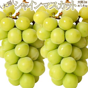  VC}XJbg 2[ v1.4kg@RY@①@@ȈՔ