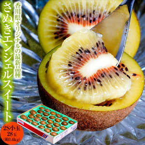  ʂGWFXC[g LECt[c 쌧Y 2S ܍ 1.6kg@28ʓ@Yn 퉷 JA쌧 