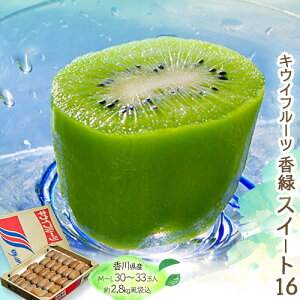  i傭) XC[g16 LECt[c 쌧Y L`M ܍ 2.8kgi30`33ʁj Yn 퉷 JA쌧 