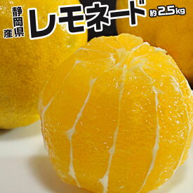 レモネード 静岡県産 柑橘 2S〜2Lサイズ 風袋込み約2.5kg 簡易梱包 ※常温　送料無料