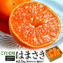 JAからつ『訳あり はまさき』佐賀県産 柑橘 キズ・スレあり・サイズ不揃い 約2.5kg 簡易包装 ※常温 送料無料