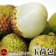 生ライチ 玉荷包 ぎょっかほう 台湾産 約1kg（40〜50個程度）※冷蔵 ぎょくかほう レイシ 茘枝 ライチ