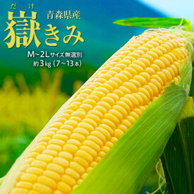 楽天市場 嶽きみの通販