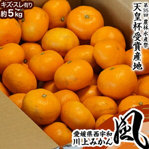 【天皇杯受賞産地】風みかん 愛媛県産 川上共選 JAにしうわ 訳あり S〜Lサイズ 約5kg 風袋込 ※常温 送料無料
