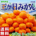 みかん 三ケ日 送料無料 静岡産 三ヶ日みかん(青島種) 3〜4Lサイズ 約8kg
