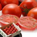 トマト フルーツトマト とまと スイートピュア 静岡産 3S〜2L 約900g(7〜23玉入)