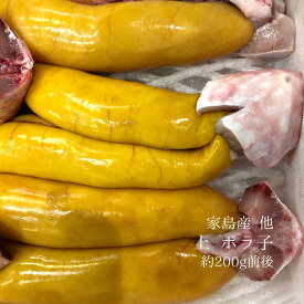 ボラ子 上 1腹 国産（鹿児島・大分・長崎・淡路など）ボラの卵（真子）【上ボラコ】冷蔵 豊洲直送